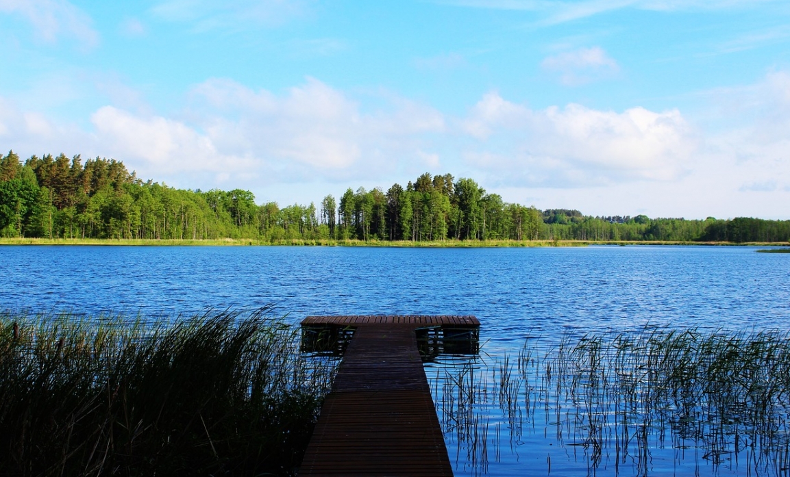 Popularne kąpieliska w Polsce centralnej zamknięte z powodu zanieczyszczenia wody