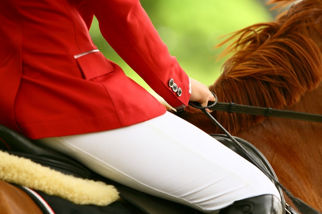 Innowacyjna edukacja. Profil jazdy konnej w Szkole Podstawowej w Święcieńcu