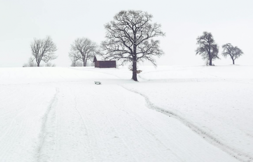 Intensywne zimowe warunki na drogach Płocka i okolic – weekend pełen wyzwań dla kierowców