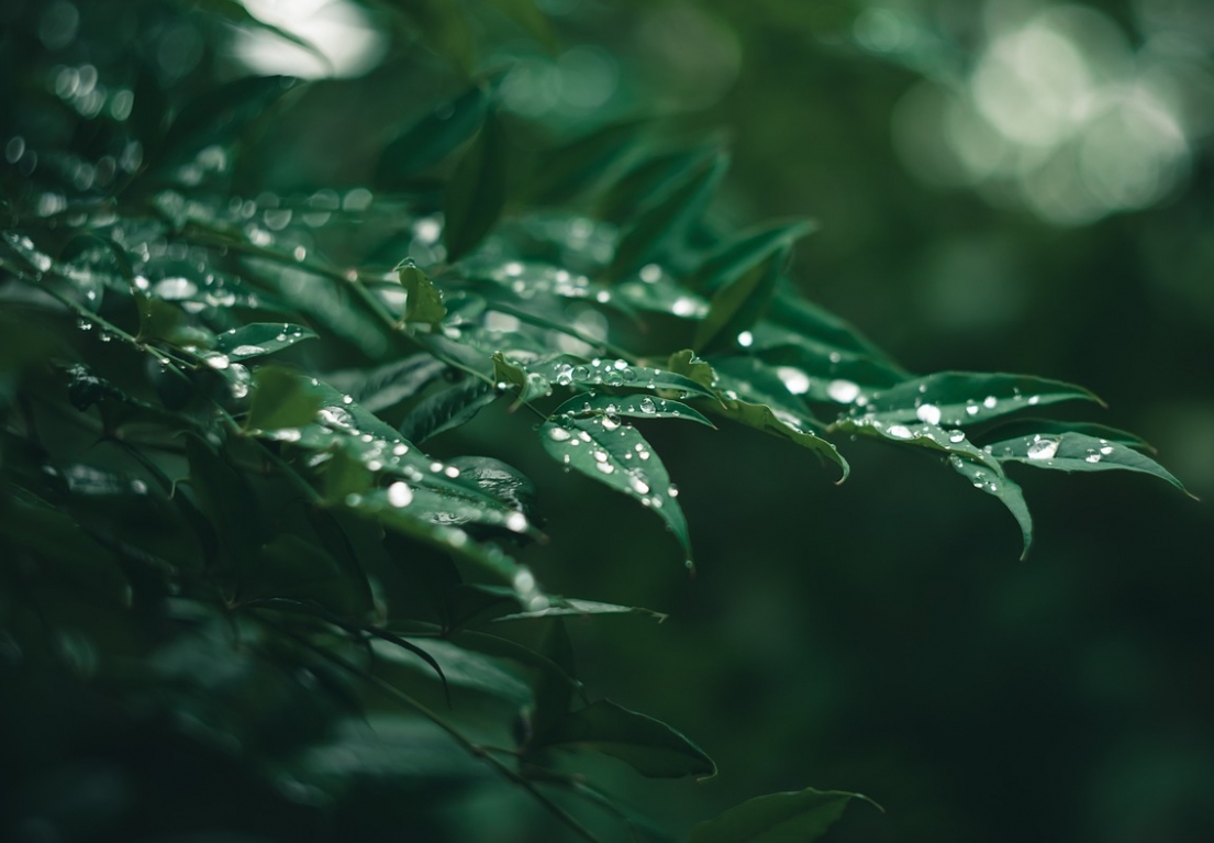 Piknik Rodzinny Komunikacji Miejskiej w Płocku odwołany z powodu złych warunków atmosferycznych