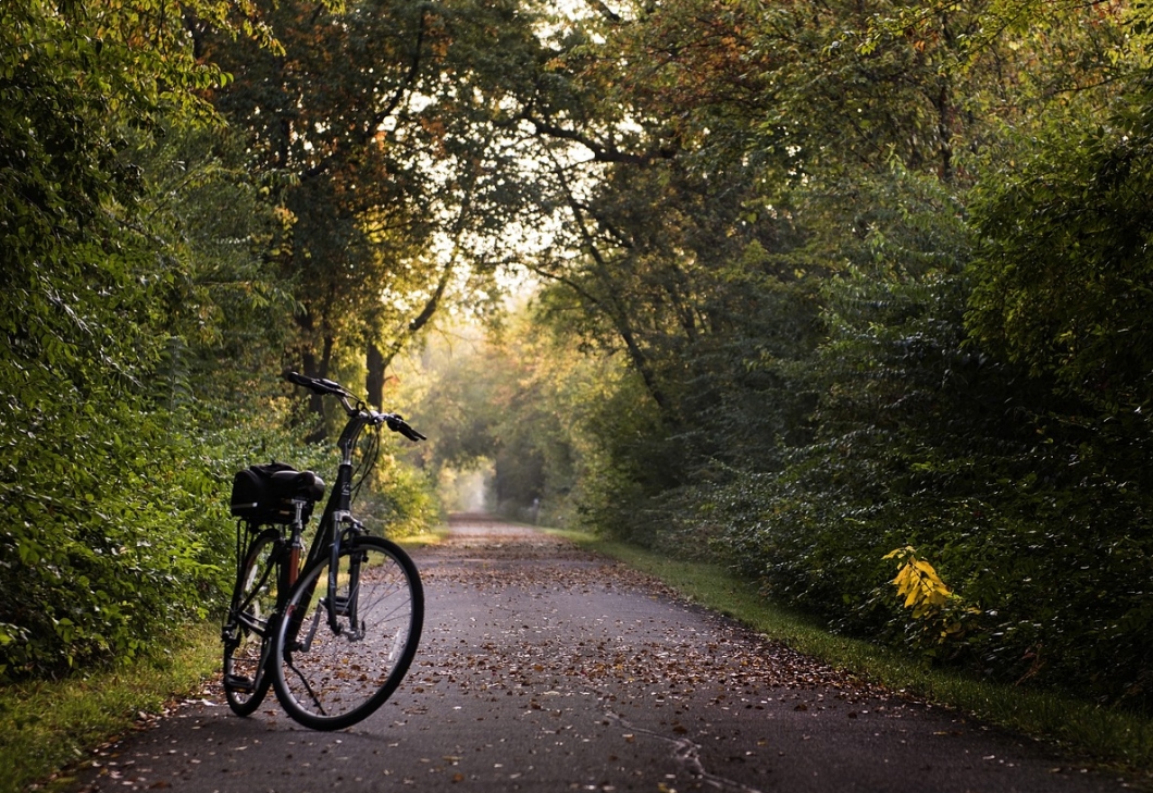 W Płocku kierowca samochodu potrącił rowerzystkę na pasach dla jednośladów